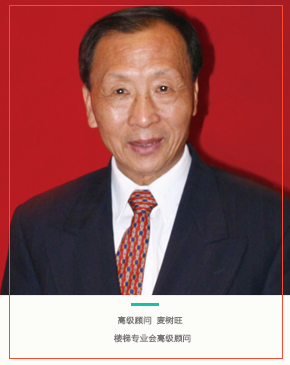 高级顾问 麦树旺